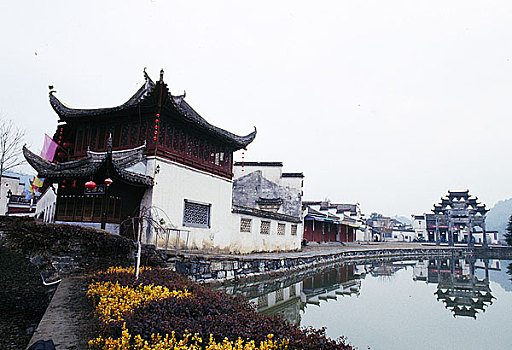 lo bach thu khung 5 ngay