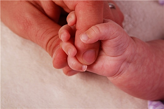 xổ số đại phát miền bắc