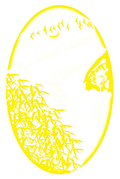 xổ số 3