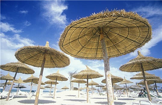 lô bạch thủ hôm nay