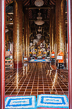 soi cau loto rong bach kim