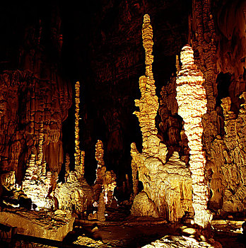 soi câu bach thu