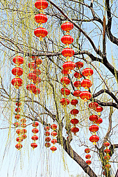 soi cầu hôm nay miền bắc