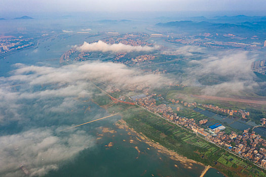 soi rong bach kim