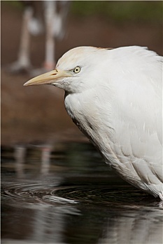 xs du doan mien nam