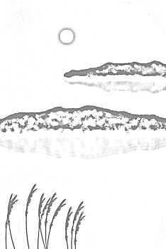 cau 366
