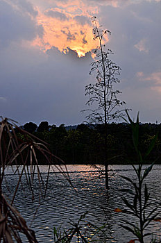 xs ninh thuân
