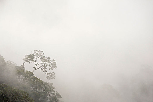 du doan xo so ninh thuan