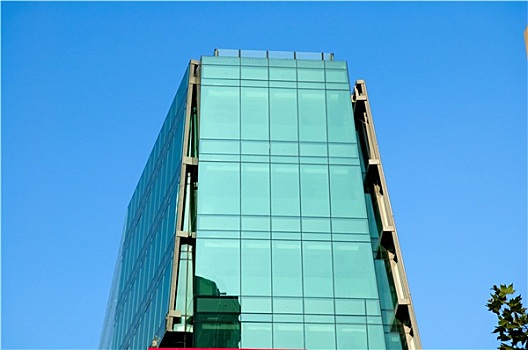 soi cau 8585