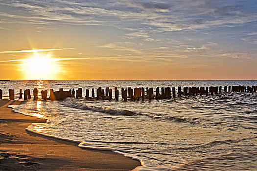 bach thu de ngay mai