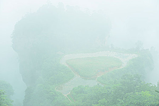 xs trà vinh