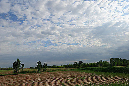 xổ số gì