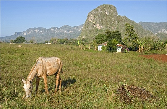 xổ số kiên giang ba đài
