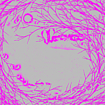 du doan xshcm wap
