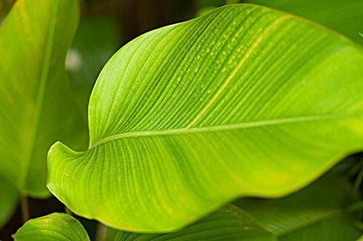 xskt bình phước