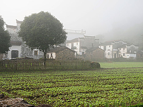 tỉ lệ ăn lô
