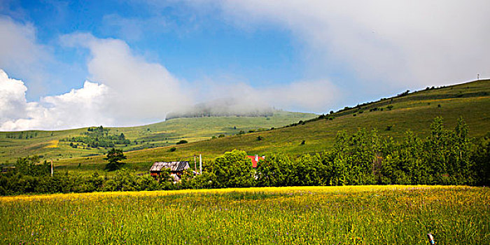 bạch thủ thành phố