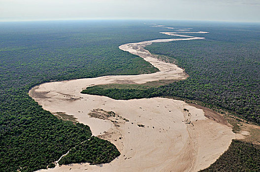 soi cau bach thu sieu chuan