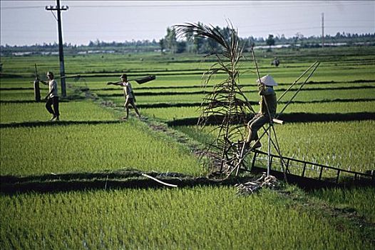 hướng dẫn chơi lixi88