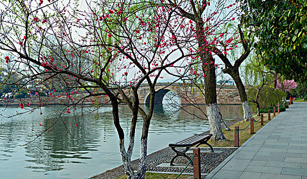 thống kê lô gan