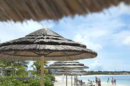 kết quả xổ số thủ đô 30 ngày