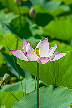 chốt số miễn phí