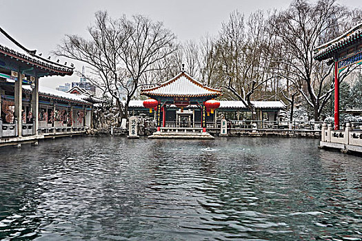 soi lô bạch thủ