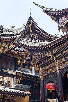 cầu bạch thủ thành phố