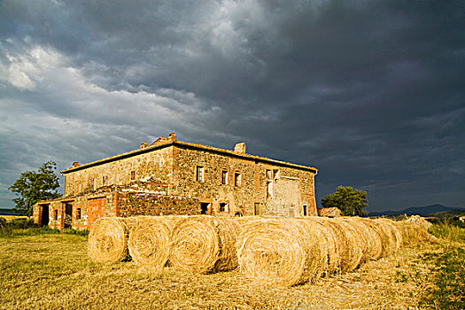 soi cau de bach thu