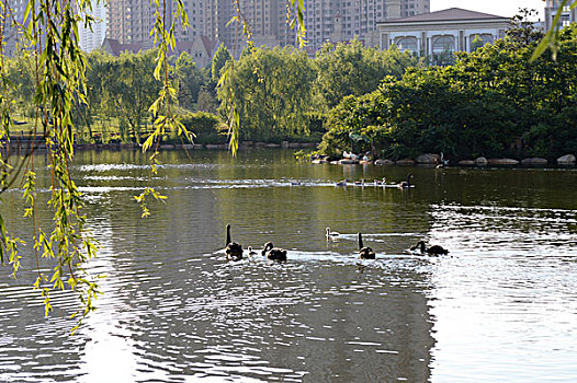 lô khung 2 ngày miễn phí