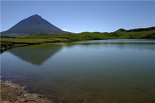 soi cau du doan mb