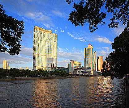 soi cau 555 ngay hom nay