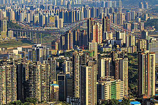 lo bach thu khung 3 ngay 368