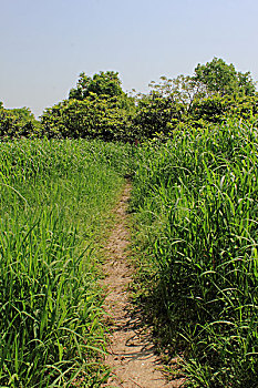 xổ số vĩnh long