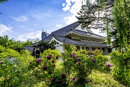 soi cau mb rong bach kim