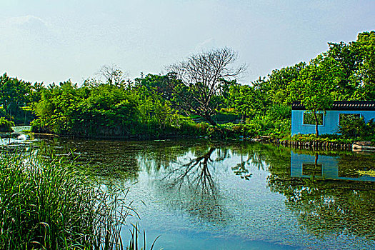 xổ số mega