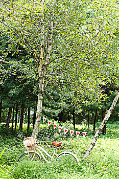 miền bắc thứ ba