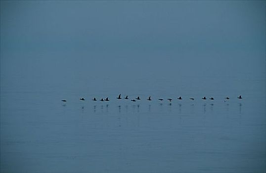 xổ số cần thơ hôm qua