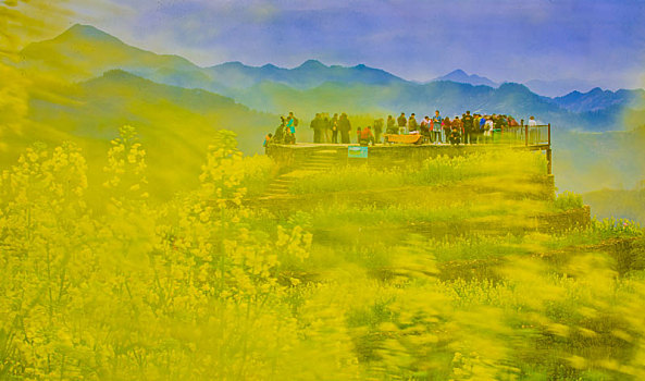 lô bạch kim