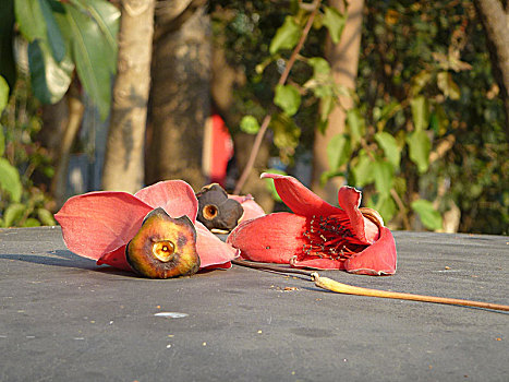 cách tính đánh lô đề