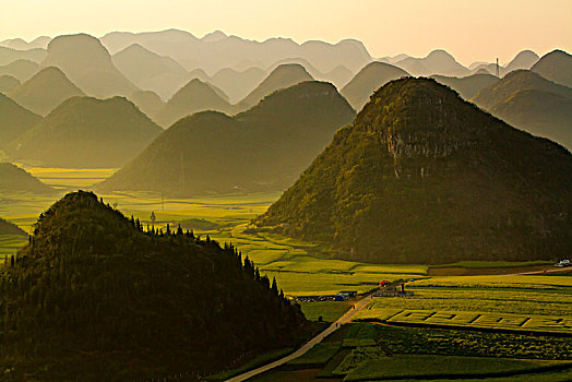 soi cau lo bach thu khung 3 ngay