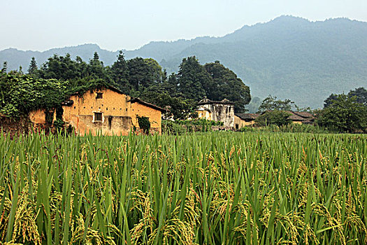 cách đoán lô đề