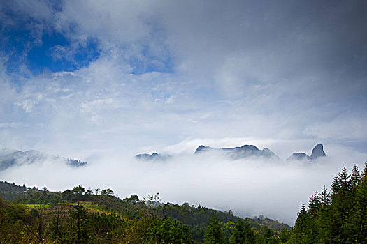 soi cau 247