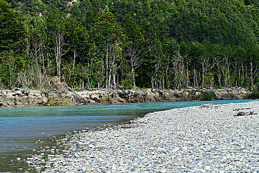 soi cau rong bach kim 2 nhay
