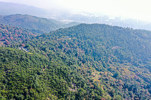 du doan xs khanh hoa so ngau nhien