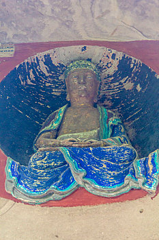 xs trà vinh
