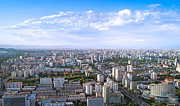 soi cau 8585