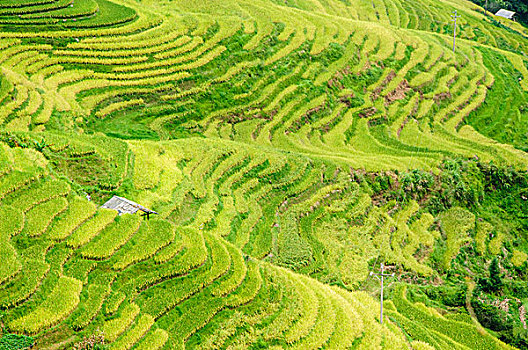 cách chơi số đề miền bắc