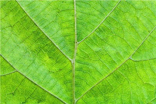 xổ số miền nam bữa nay