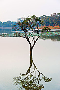 xổ số miền nam minh chính